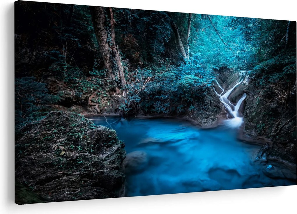 Obraz - Magická noc v tropickom lese (90x60 cm)