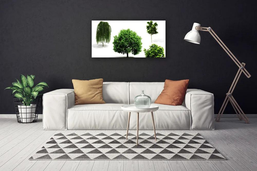 Obraz Canvas Stromy príroda 120x60 cm