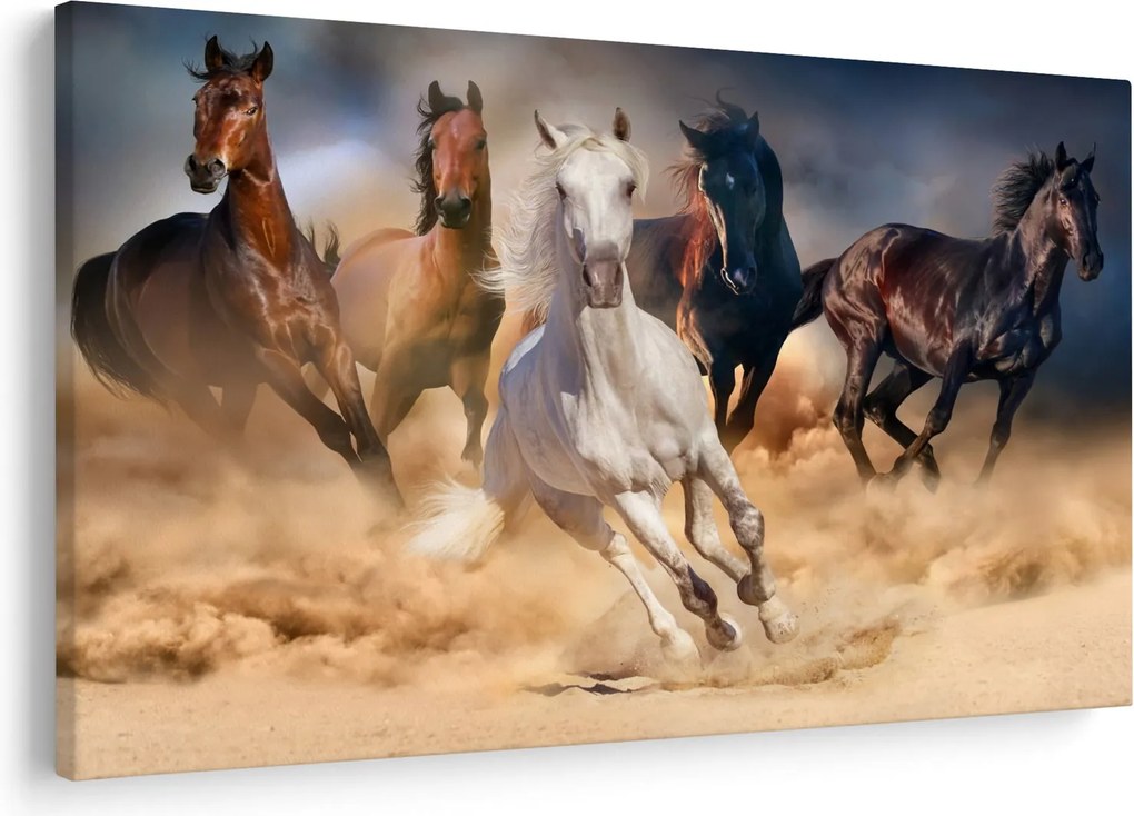 Obraz - Kone v púšti (90x60 cm)
