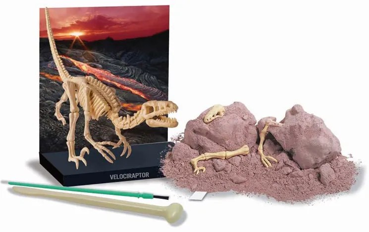 Vykopávka Velociraptora se skladacou kostrou