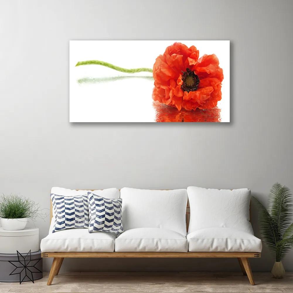 Obraz Canvas Kvety príroda 125x50 cm