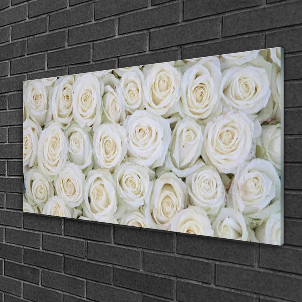 Obraz na skle Ruže kvety rastlina 120x60 cm
