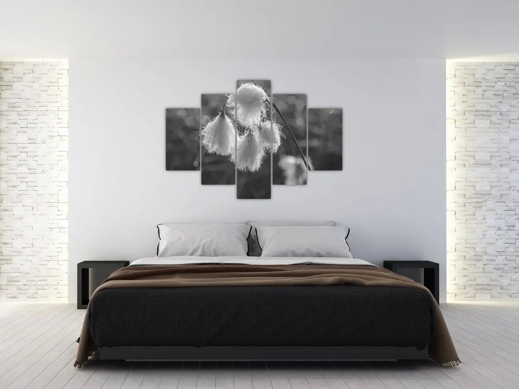 Obraz - Cottongrass (150x105 cm)
