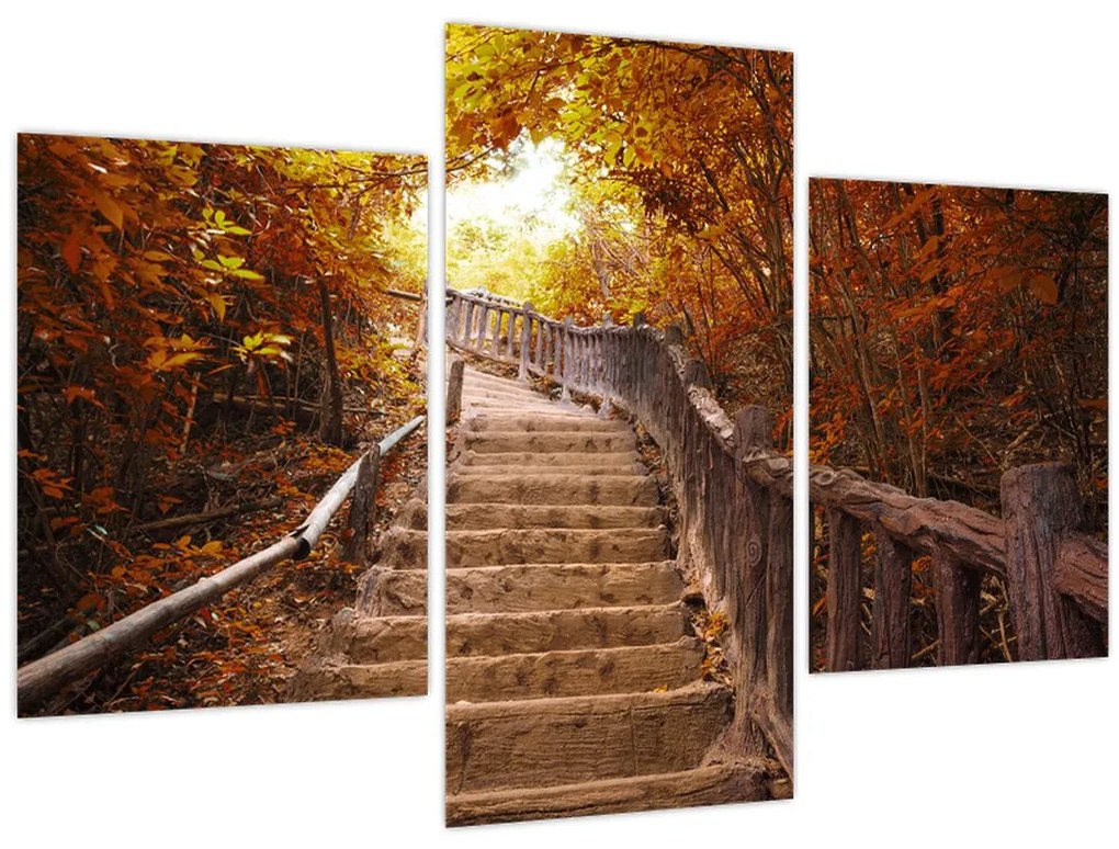 Obraz - Schody v prírode na jeseň (90x60 cm)
