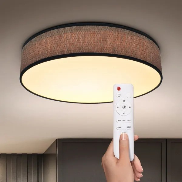 Brilagi - LED Stmievateľné stropné svietidlo ADELA LED/48W/230V 3000-6500K + DO