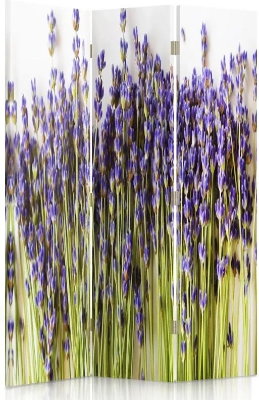 CARO Paraván - Tuft Of Lavender | trojdielny | obojstranný 110x150 cm