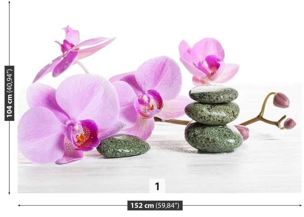 Fototapeta Vliesová Kúpele orchidea 312x219 cm