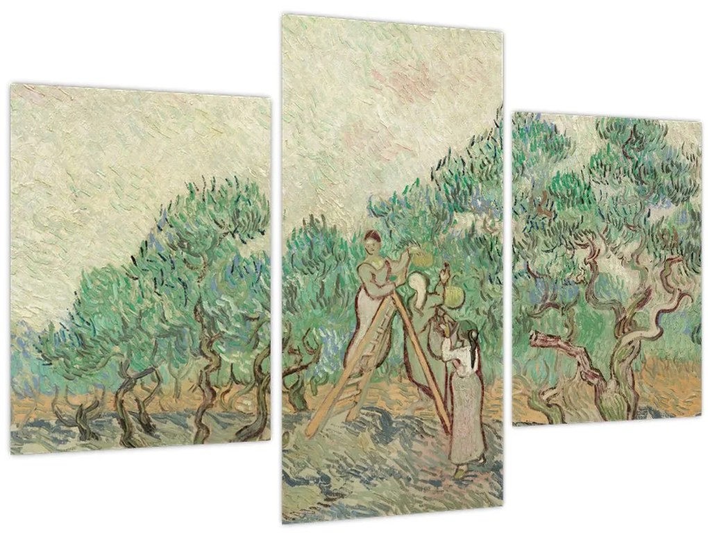Obraz - Vincent van Gogh, The Olive Orchard, reprodukcia (90x60 cm)