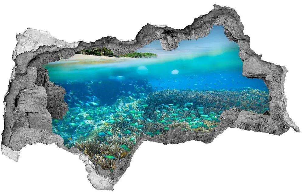 Nálepka fototapeta 3D výhľad Koralový útes nd-b-78236057