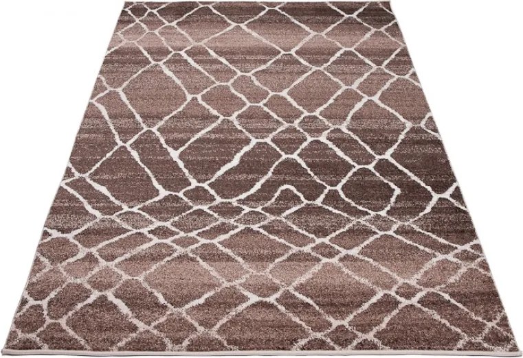 TA Koberec H072A HNEDÉ SARI BRH Rozmer: 220x320 cm