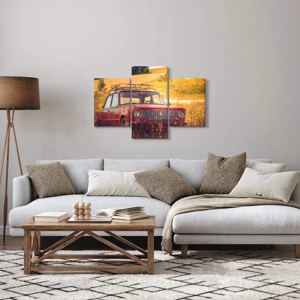 Obraz auta v poli (90x60 cm)