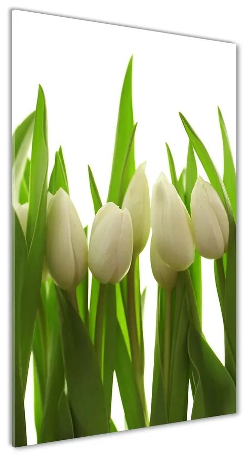 Foto obraz akryl do obývačky Biele tulipány pl-oa-70x140-f-40774671