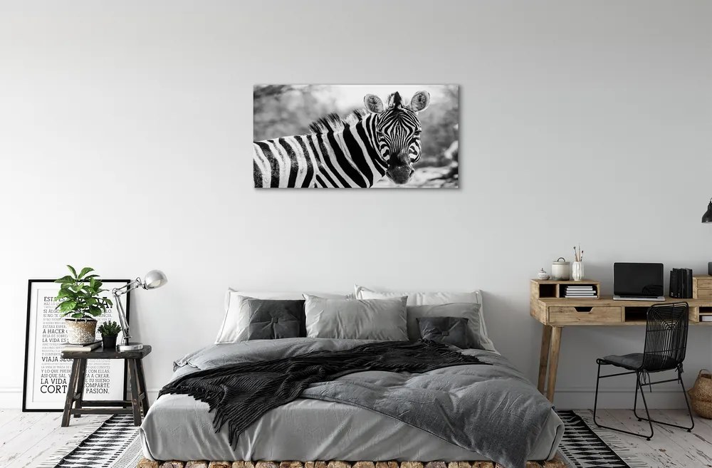 Obraz na plátne retro zebra 140x70 cm