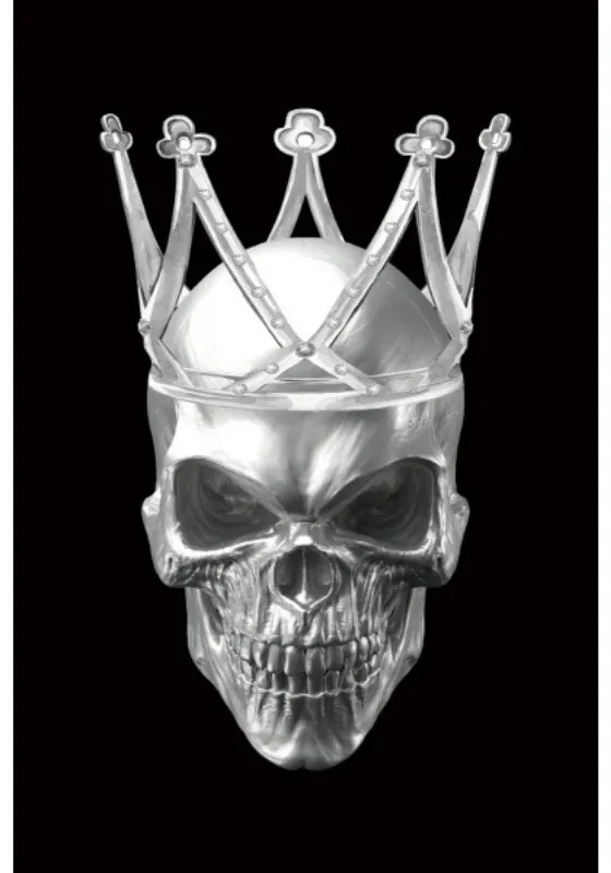 Obraz Skull II 80 x 120 cm, čierna / biela