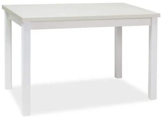 Jedálenský stôl ADAM | 120 x 68 cm Farba: biely mat