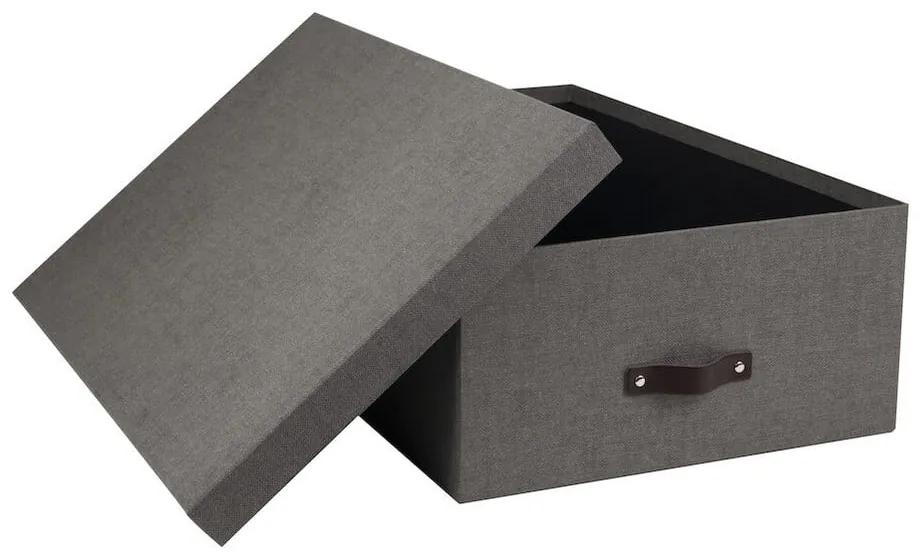 Úložné boxy s vekom v súprave 3 ks Inge – Bigso Box of Sweden