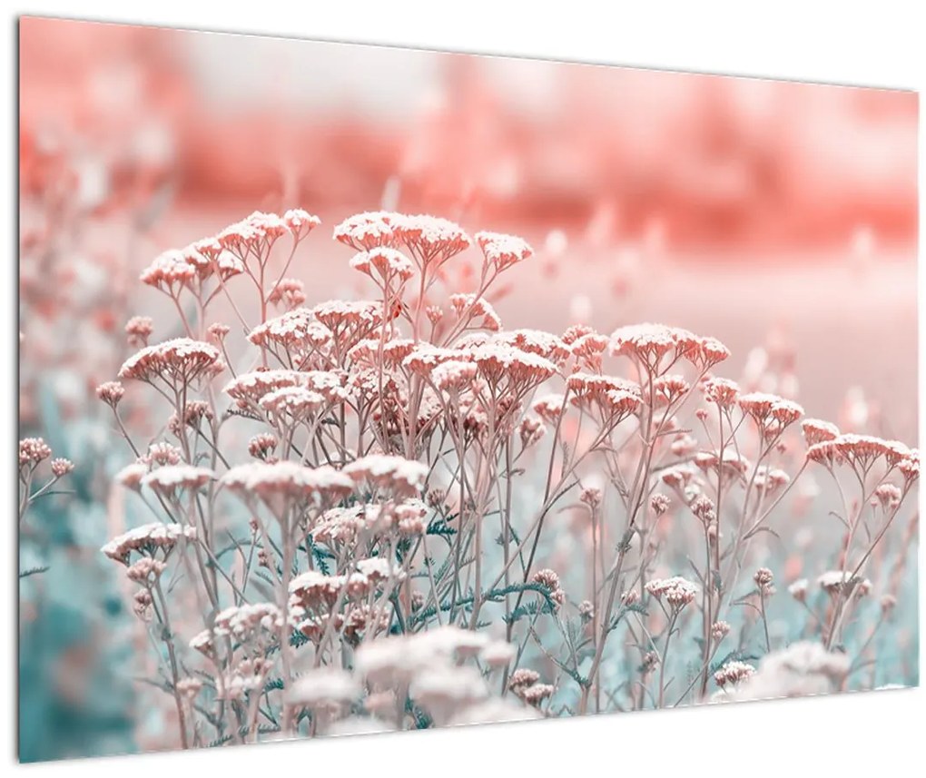 Obraz - Lúčne kvety (90x60 cm)