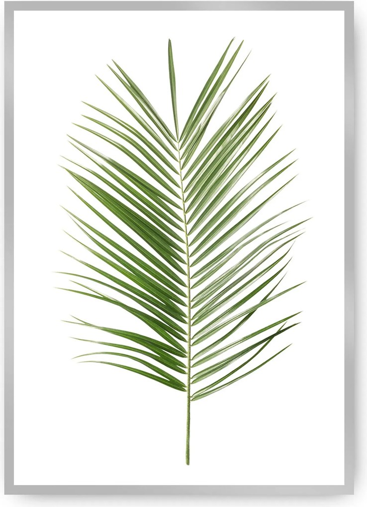 Plagát Palm Leaf Green