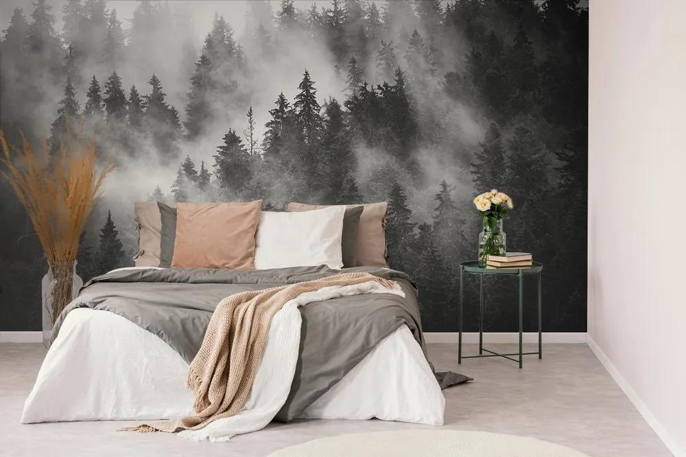 Fototapeta čiernobiele stromy zahalené do hmly