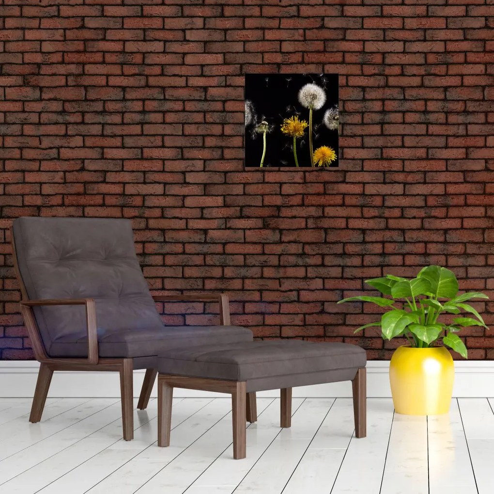 Odkvitajúce púpavy - obraz na stenu