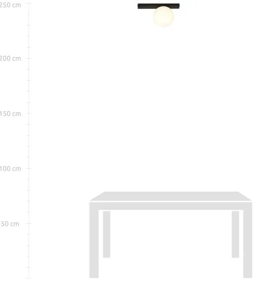 Stropné svietidlo FIT 1xE14/10W/230V čierna/biela