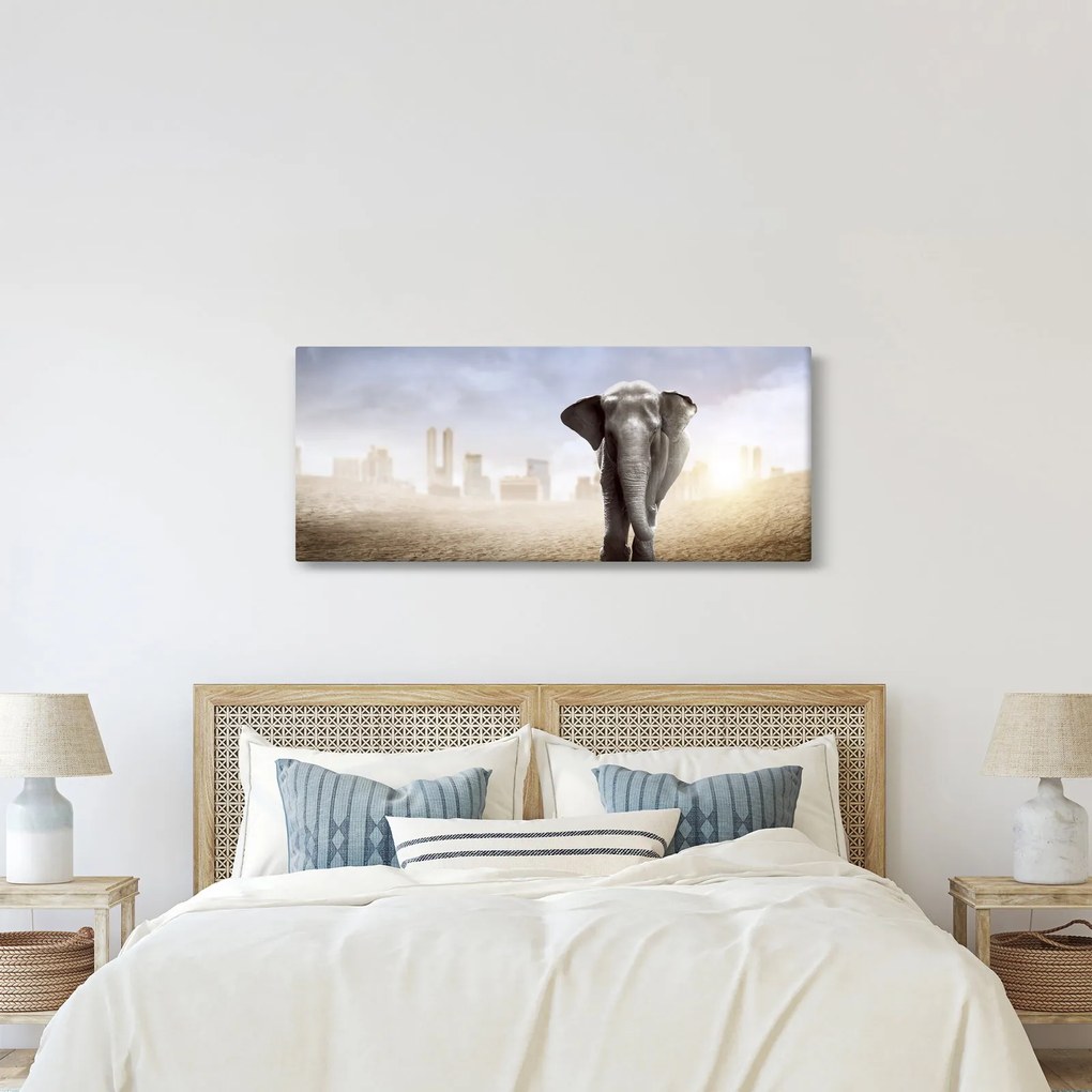 Obraz - Sloníčka vo veľkomeste (120x50 cm)