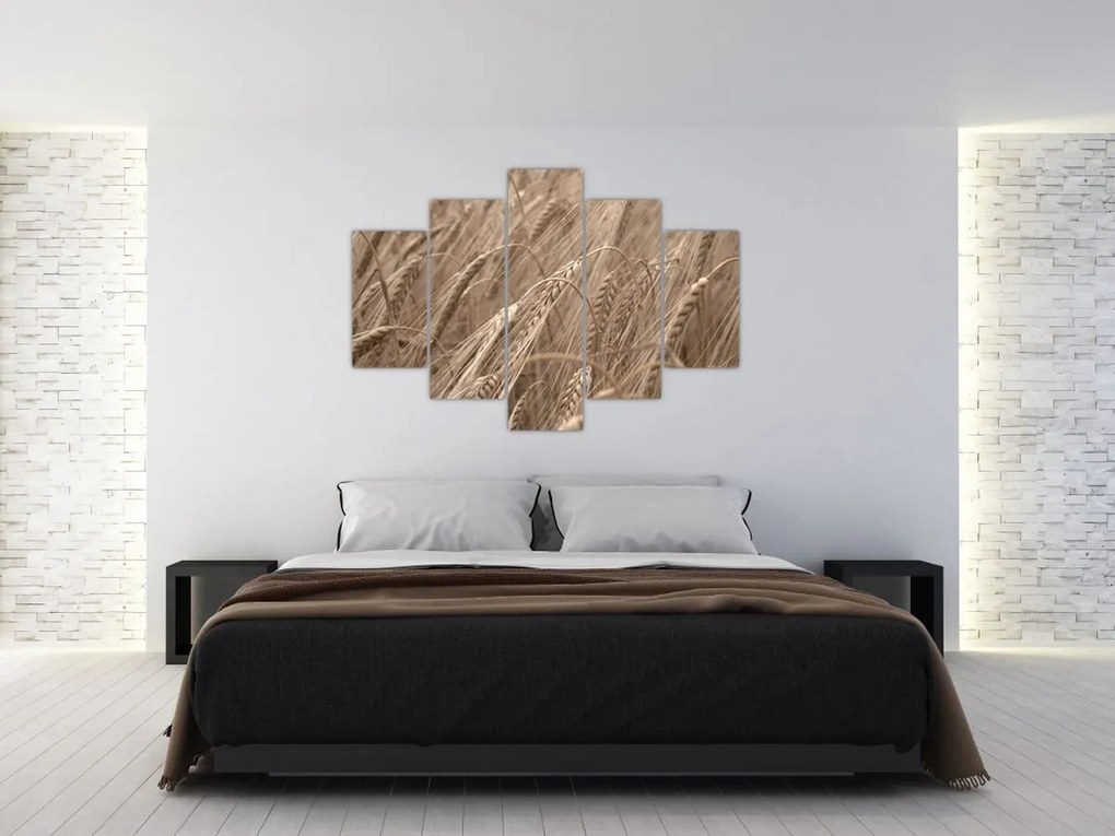 Obraz - Zlaté pole (150x105 cm)