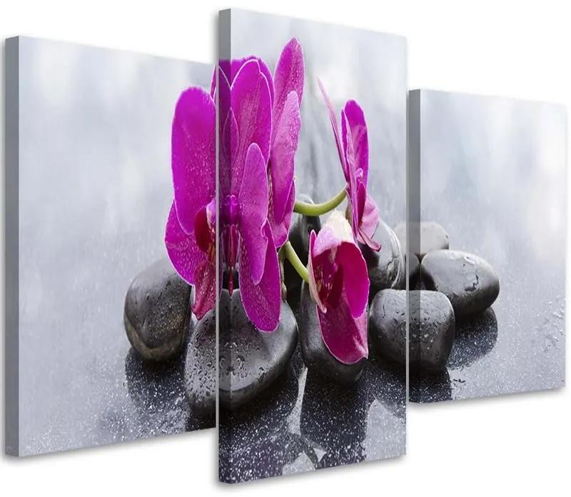 Gario Obraz na plátne Orchidea a čierne kamene - 3 dielny Rozmery: 60 x 40 cm