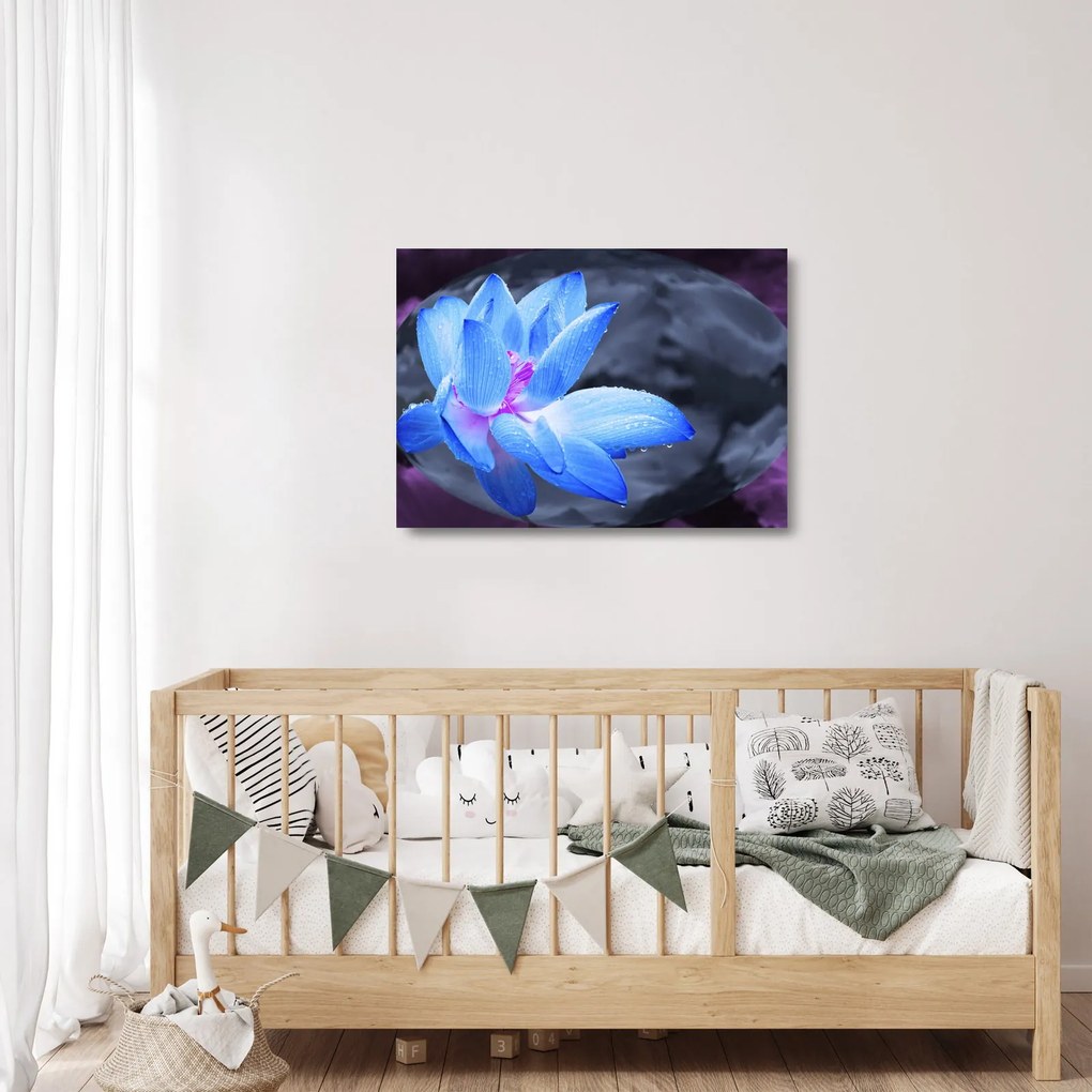 Sklenený obraz kvetu v detaile (70x50 cm)