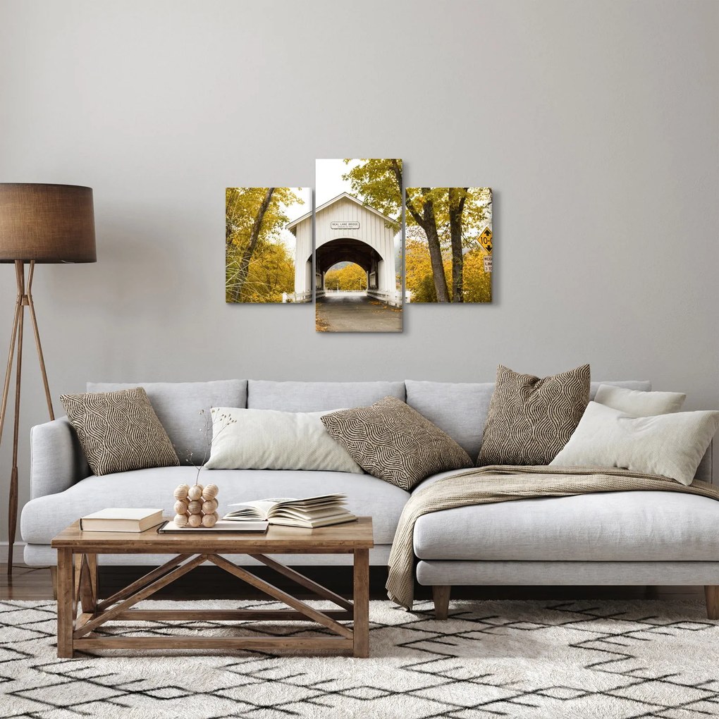 Obraz mosta v Oregone (90x60 cm)