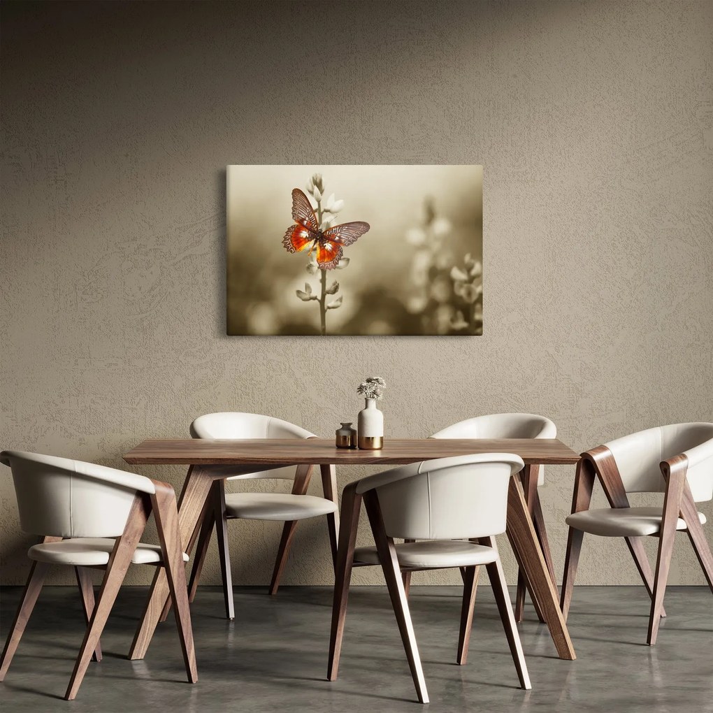 Obraz motýľa (90x60 cm)