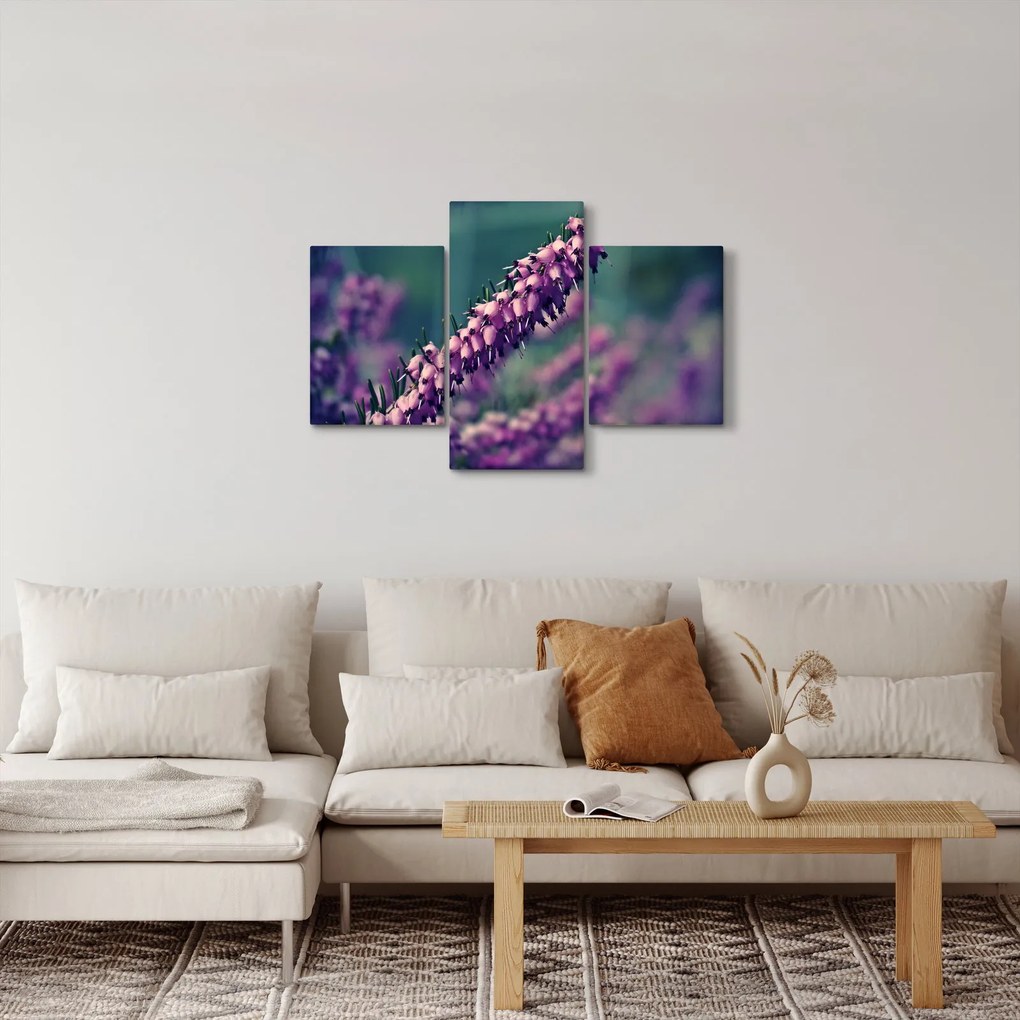 Obraz levandule (90x60 cm)