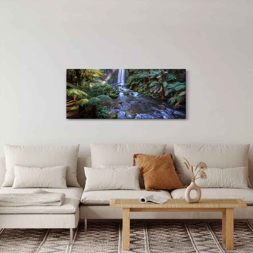 Obraz australského dažďového lesa (120x50 cm)