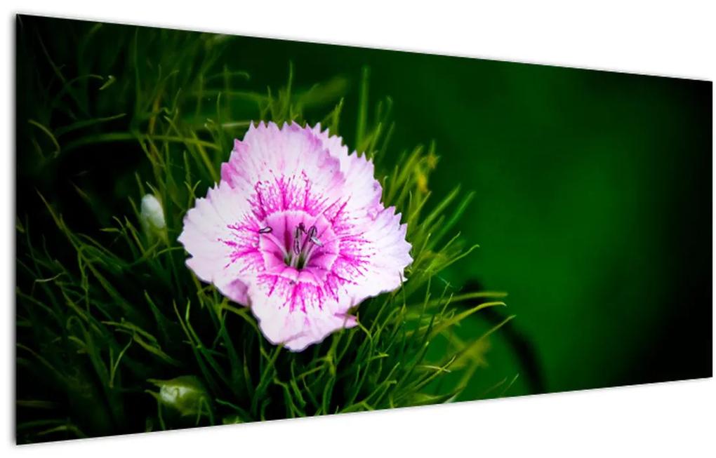 Obraz ružového kvetu (120x50 cm)