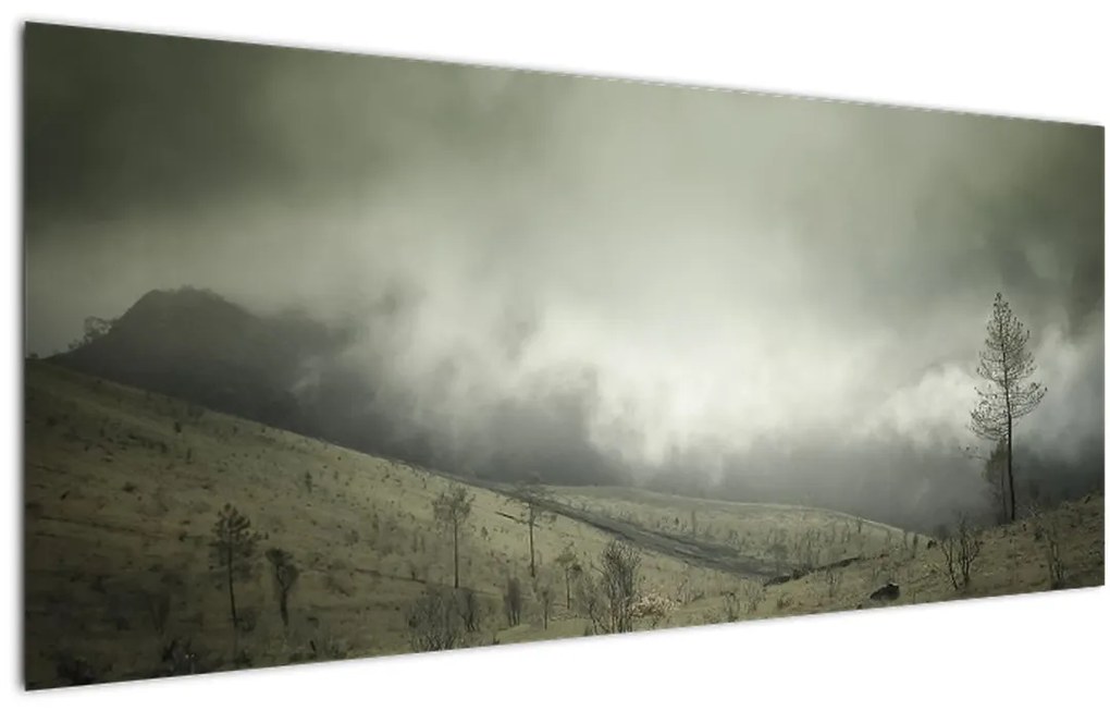 Obraz krajiny pred búrku (120x50 cm)