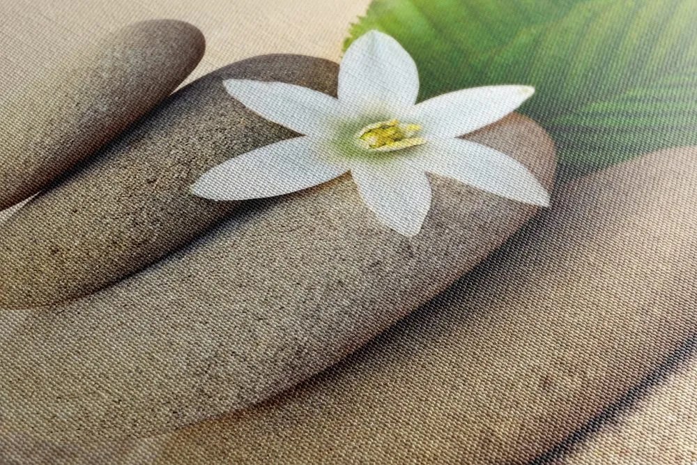 Obraz biely kvet a kamene v piesku Varianta: 60x40