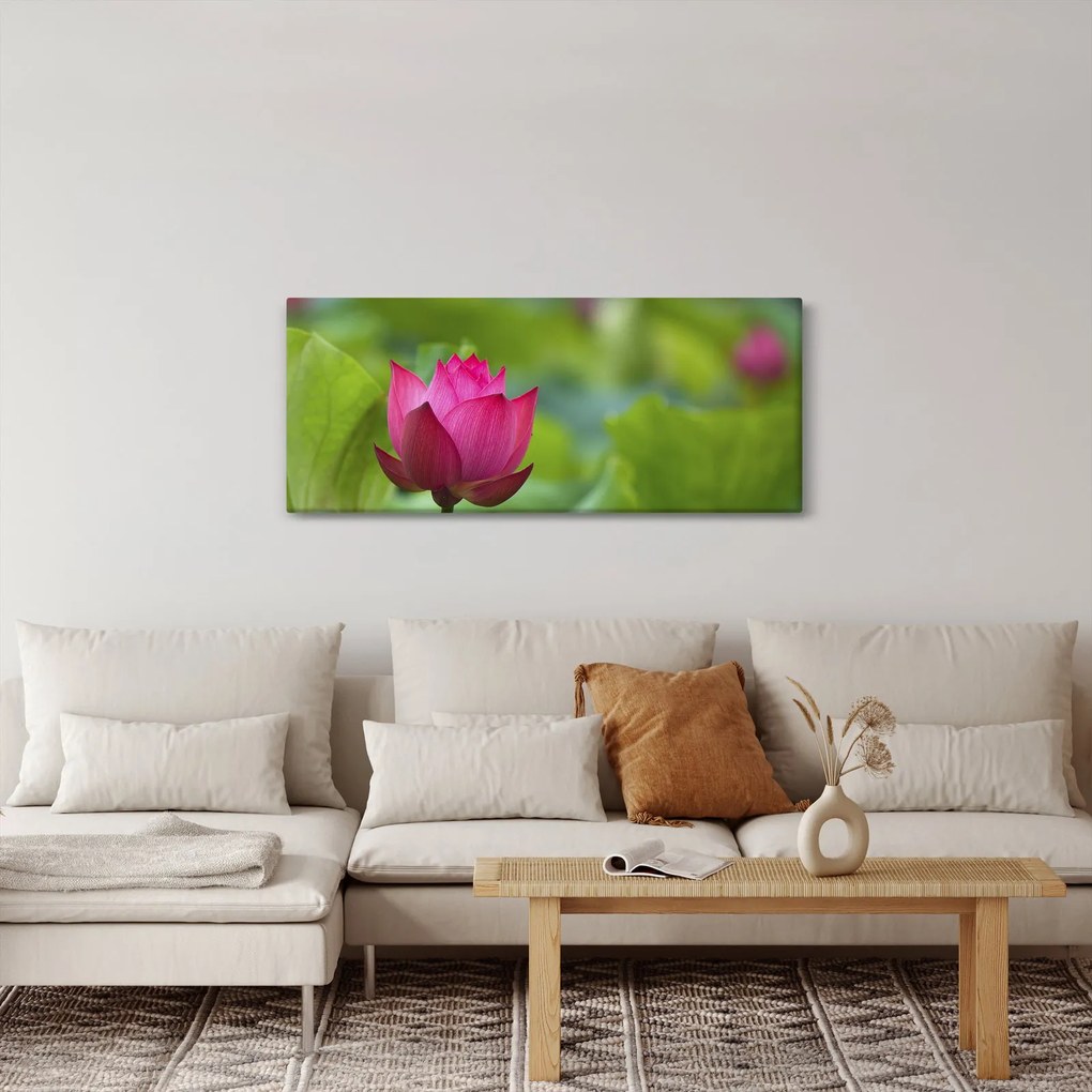 Obraz - vodná rastlina (120x50 cm)