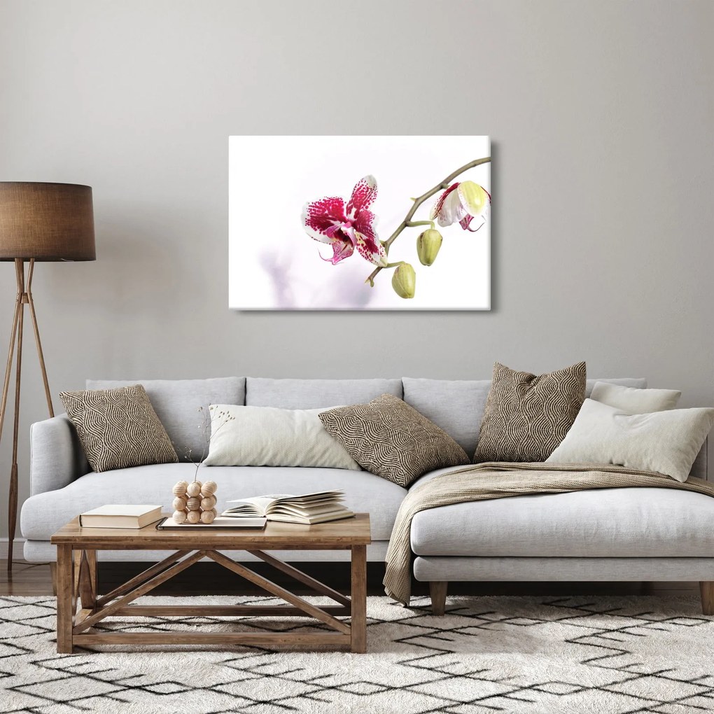 Obraz kvetu orchidey (90x60 cm)
