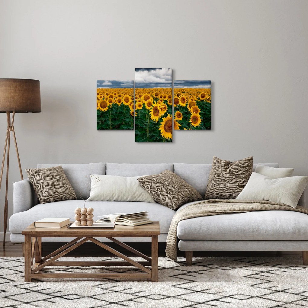 Obraz slnečnicového poľa (90x60 cm)