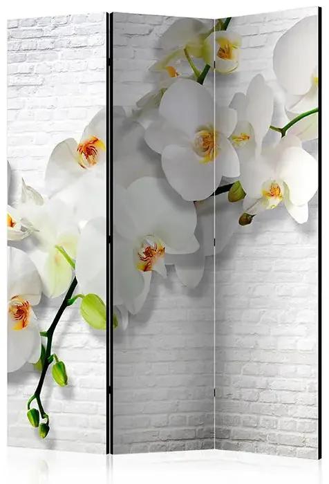 Paraván - The Urban Orchid [Room Dividers] Veľkosť: 135x172, Verzia: Jednostranný