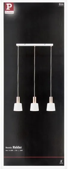 Paulmann 79657 - 3xE14/20W Luster na lanku NEORDIC HALDAR 230V