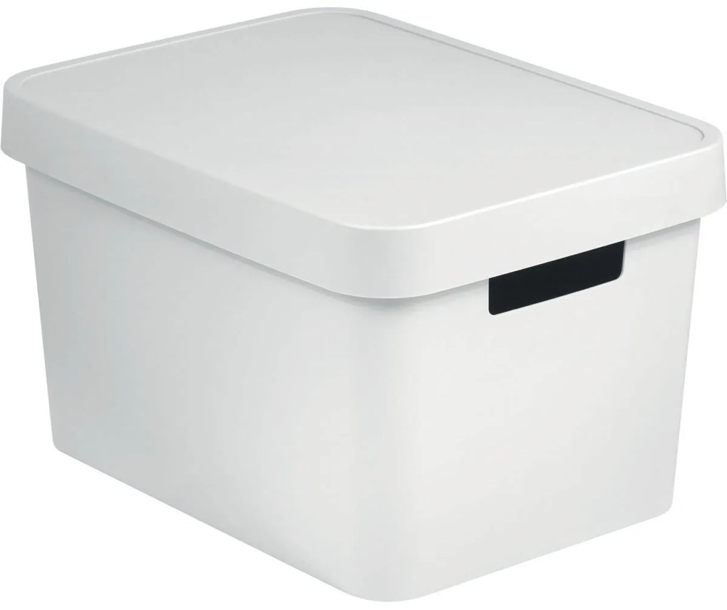 Curver Úložný box INFINITY 17l s vekom biely
