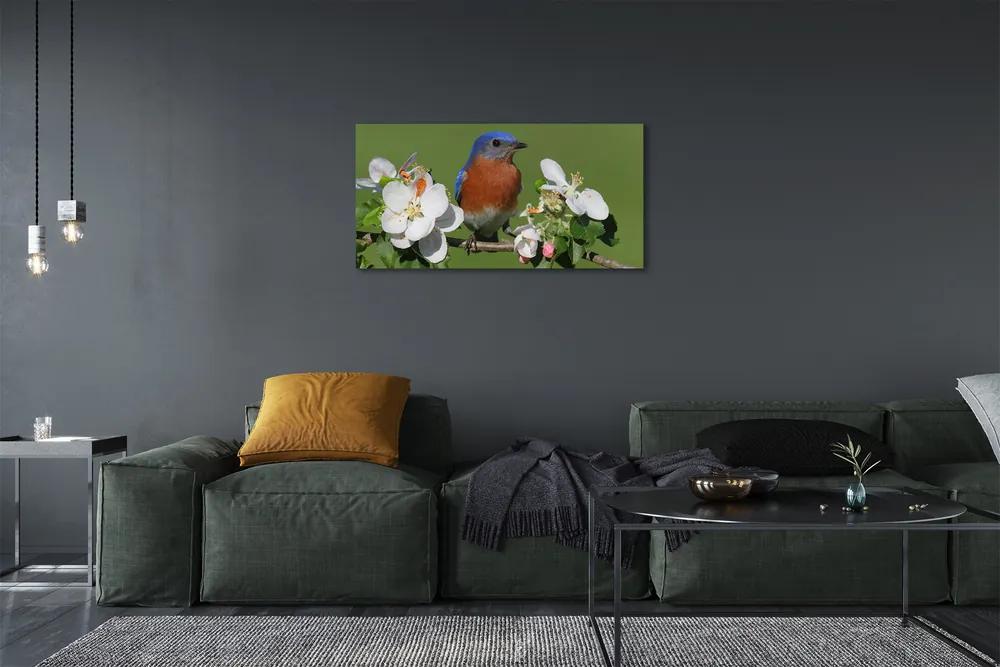 Obraz na plátne Kvety farebné papagáj 125x50 cm
