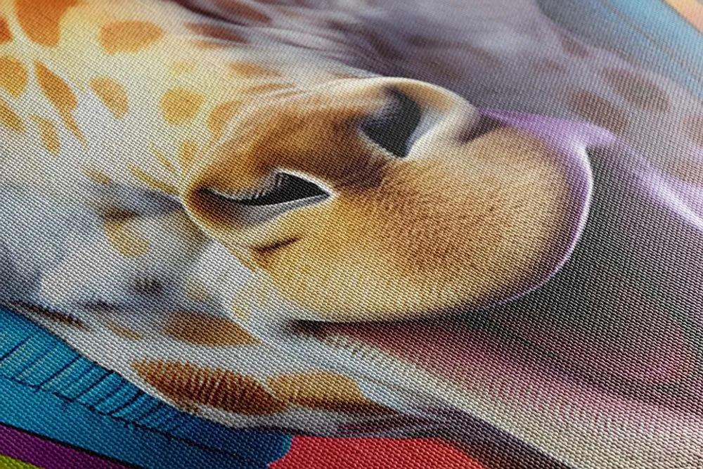 Obraz žirafa so slúchadlami