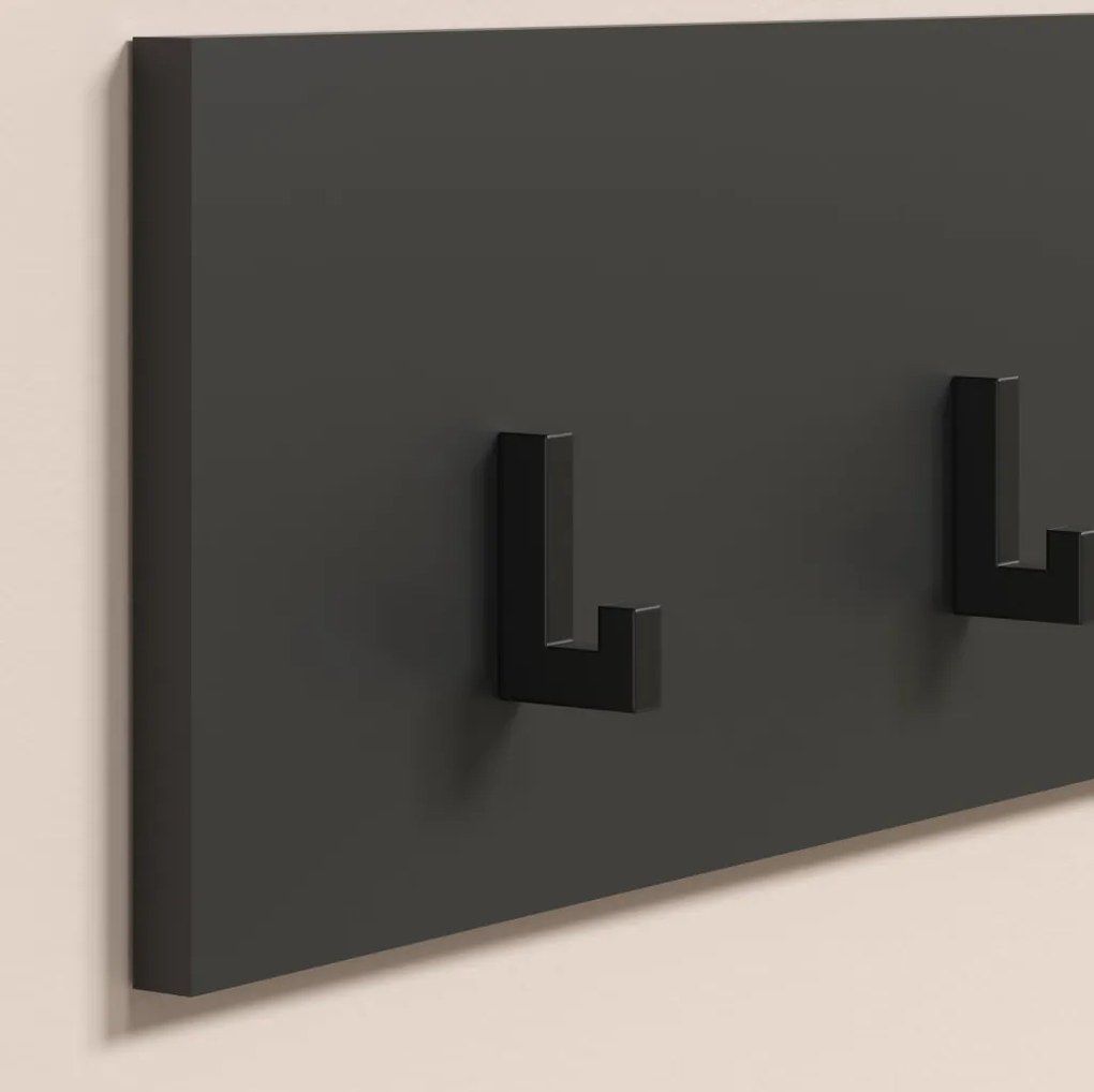 Nástenný vešiak na šaty Esteban, antracit