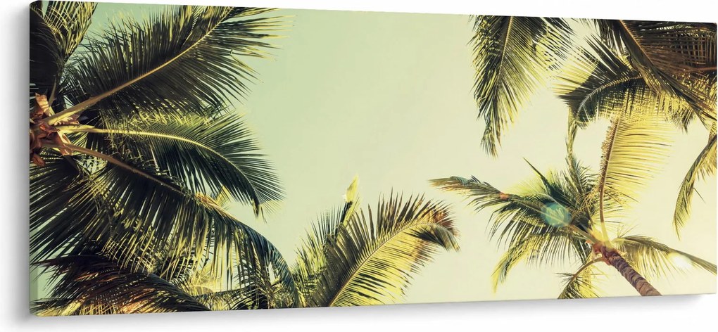 Obraz s kokosovými palmami (120x50 cm)