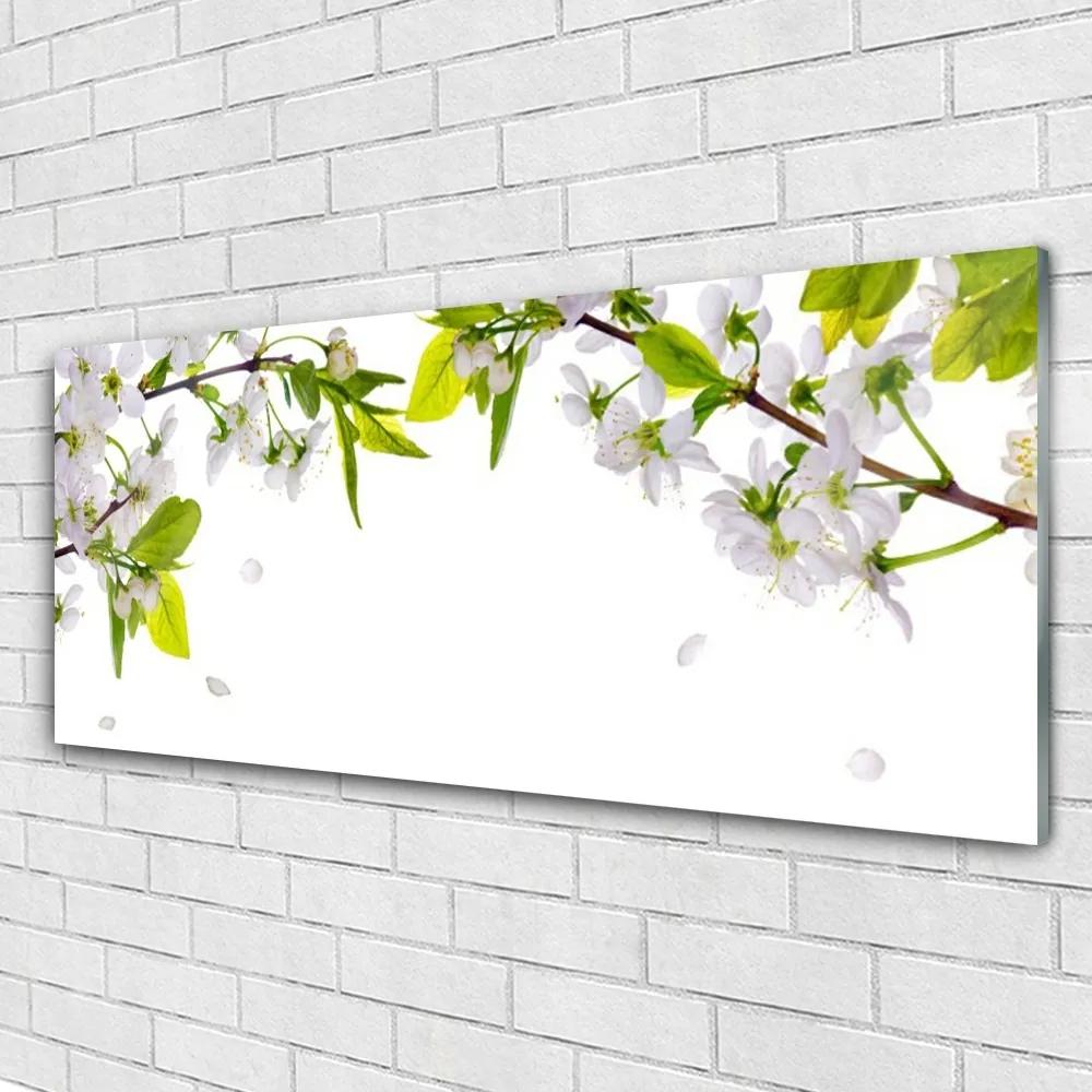 Obraz na akrylátovom skle Plátky príroda 125x50 cm