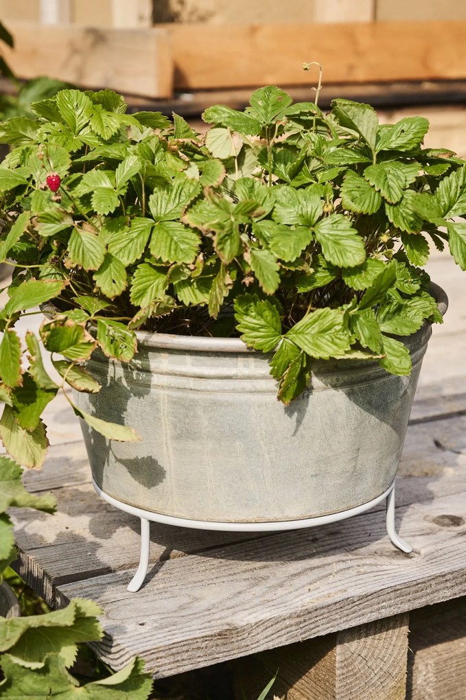 Ib Laursen Plechový obal na kvetiny Conical Urban Garden S