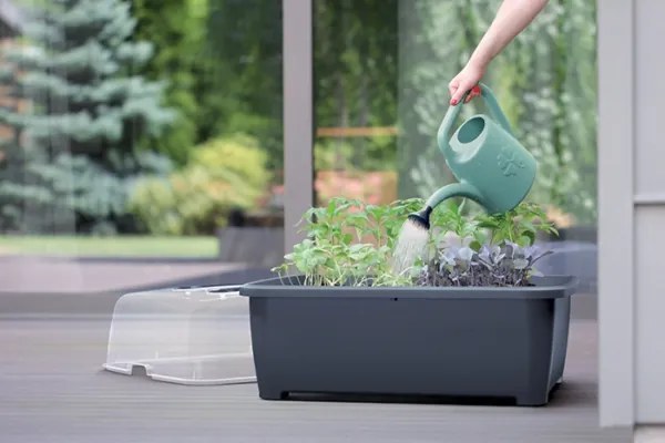 Plastové parenisko na nožičkách DREP770W 77 cm - limetková