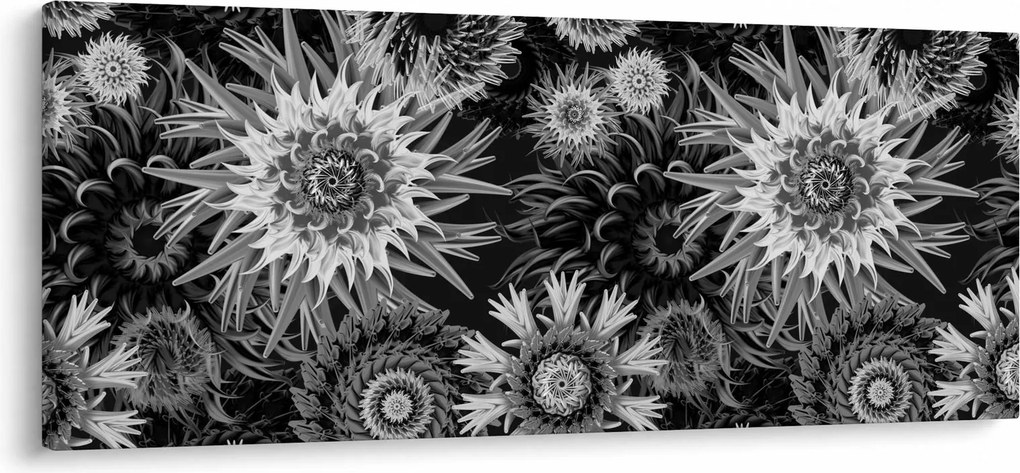 Obraz - Čiernobiele bodliaky (120x50 cm)